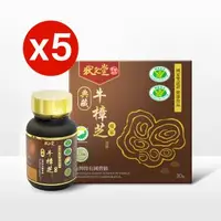 在飛比找森森購物網優惠-【 狀元堂｜草地狀元 】典藏牛樟芝膠囊-5入組(30粒/瓶)