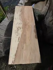 Maple Board Figured/ Spalted For Your Wood/ Art Projects. 20"×7"×1"