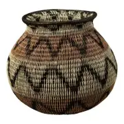 Black Volts of Lightning Rainforest Basket