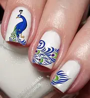 Peacock & Feather Nail Art Decal Sticker