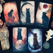 The Haunted Cat Tarot Deck - 78 Card Tarot Deck Featuring Original Feline Art