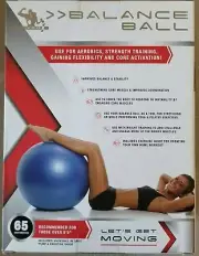 Silver 1, Balance Ball 65 cm Ball, Grey, Pump & Exercise Guide