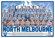 LAMINATED 2024 NORTH MELBOURNE KANGAROOS AFL FOOTBALL TEAM POSTER,BARGAIN,1