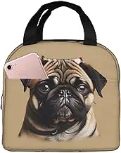 BKDODKS Pug Dogs Print Adults Insulated Lunch Bag Keeps Food Hot/Cold For Hours, Men And Women Tote Bag