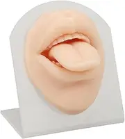 Silicone Tongue Mouth Model Simulation Real Practice for Beginners Piercing Stand Wide Use