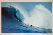 Aaron Chang Mike Parsons Cortes Bank Poster 24 X 36