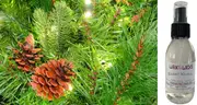 Scotch Pine - Room Spray