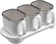 OFFSCH 1 Set Seasoning Storage Box with Clear Lid Kitchen Spice Jars for Condiments Dust and Moisture Easy One Handed Operation Multi Functional Spice Container