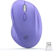 Ergonomic Wireless Mouse with USB Receiver for PC Computer, Laptop and Desktop,