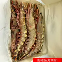 在飛比找蝦皮商城精選優惠-【海鮮7-11】海草蝦(肥豬蝦) 500g/包 3隻  *巨