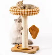 Cat Scratching Post With Bed - Small Cat Tower With Sisal Scratcher, Removable P