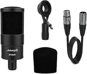 Audibax AT2020 – Studio Condesander Microphone – Includes XLR Cable, Assembly Clip and Anti-Anti-Adhesive – Frequency Response 50 Hz/20 KHz – Professional Microphone with Polar Cardioid Pattern