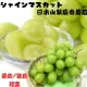 【緁迪水果JDFruit】【日本進口】日本山梨香印麝香葡萄(赤秀)單房禮盒裝(600g+-10%) 免運宅配到家 l 送禮嚴選 l 緁迪水果