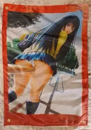 Hook Ups Skateboards Banner Poster JK World Industries Girl 357 Tony Hawk Blind