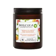 Air Wick Candle Botanica Moroccan Mint & Pink Grapefruit