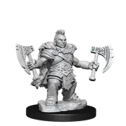 D&D Frameworks Dwarf Barbarian Female