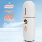 USB Charging Face Mist Sprayer Moisturizing Portable Face Humidifier Nano Fa NOW