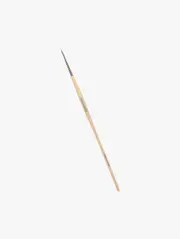 Nail Art Brush