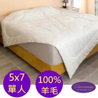 在飛比找momo購物網優惠-【Comfortsleep】5x7尺單人羊毛冬被(特價)