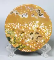 Natural Ocean Jasper Crystal Agate Round Pendant Jasper Reiki Stone Stand