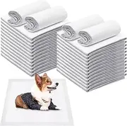 Leak-Proof Puppy Training Pads – 60x45cm Absorbent Dog Pee Mats – Fast Drying, Multi-Use, Odour-Free, Perfect for Potty Training, Lining Crates, Protecting Floors & Car Seats – 50/100/200 Pack (100)