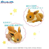 在飛比找蝦皮購物優惠-現貨 日本正版 Ensky Pokémon 神奇寶貝 寶可夢