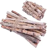 TEHAUX 40pcs Birch Logs for Decor Dried Tree Branches Elegant Decorative Sticks for Vase for Fireplace Logs