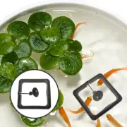 Fish Feeder Square Feeding Circle Suction Cup Adjustable Joint