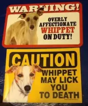 2 Whippet Warning/ Caution Laminated Picture Sign / magnet