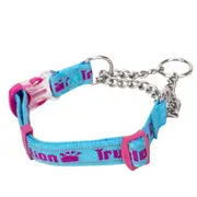 Collar P-chain Outdoor Nylon High Quality Stainless Steel Chain