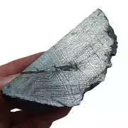 463g Muonionalusta meteorite part slice QC665