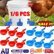 Chicken Water Cup Feeder Drinker Drinking Bowl Waterer Poultry Automatic AU