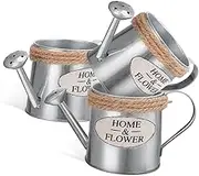 3pcs Iron Flower Pot Decorative Watering Can Rustic Metal Vase Mini Flower Decor for Indoors Outdoors