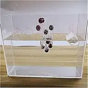 Acrylic Props Shooting Tray, Acrylic Photography Shooting Water Tank Display Case Showcase 15x(10-30) x30cm Thick 3mm(15x30x30cm(5.9x11.8x11.8in))