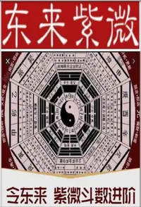 在飛比找Yahoo!奇摩拍賣優惠-令東來大師《王亭之中州派紫微斗數進階課程》60集視頻（國語）