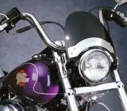 NATIONAL CYCLE 1986-1993 FXRS-SP Low Rider Sport Harley Davidson FLYSCREEN WINDS