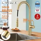 LaveLuxe Laundry Sink Faucet Gold Swivel Spout Pull Out Kitchen Mixer Tap WELS