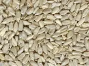 4KG BULK SUNFLOWER KERNELS PRODUCT OF BULGARIA (NOT CHINA) - FREE POST