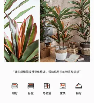 交換禮物！北歐ins風室內紅鐵樹仿真植物假花綠植盆栽擺件客廳落地大型裝飾 全館免運