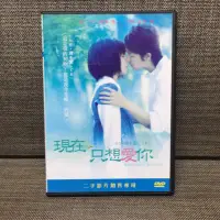 在飛比找蝦皮購物優惠-現在只想愛你 宮崎葵 玉木宏 電影 dvd 二手