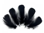 1/4 Lb. 2-3" Black Goose Coquille Wholesale Feathers Bulk Wedding Halloween Art