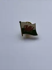 Wales Lapel Flag Pin Welsh Enamel Flag Badge