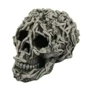Pacific Giftware Erotica Skull Morphing Body Skull Collectible Desktop 5 Inch H