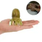 Comb Scalp Massage Brush Resin Massage Comb Octopus Comb Gua Sha Massage Comb