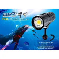 在飛比找Yahoo!奇摩拍賣優惠-台灣潛水---SUPE P53 攝影閃光燈