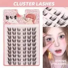 D Curl Manga Eyelash Clusters Wispy Anime Individual Lashes