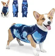 Dog Surgery Recovery Suit, Pet Bodysuit After Surgery, Abdominal Wound Puppy Surgical Clothes, Cone E Collar Alternative for Male and Female Dogs (XXL)
