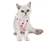 Cat Sterilization Clothes Postpartum Cotton Vest Anti-licking Weaning Pet Supply - Strawberry - L