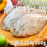 在飛比找蝦皮商城優惠-南海豐【特A級！澎湖野生厚實肉鯽魚】3尾入共250g-300