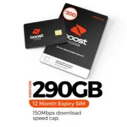 Boost Mobile Prepaid SIM 5g 290GB Data 12 months expiry